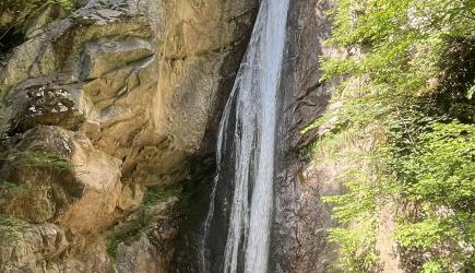 Erfahrungsbericht: Praktikum Italien Erfahrungsbericht: Praktikum Italien